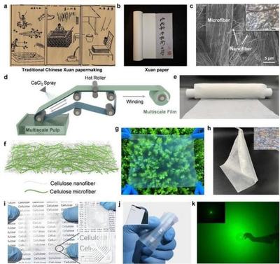 中國科學(xué)技術(shù)大學(xué)引領(lǐng)創(chuàng)新 新型柔性顯示膜材料問世，開啟顯示技術(shù)新篇章